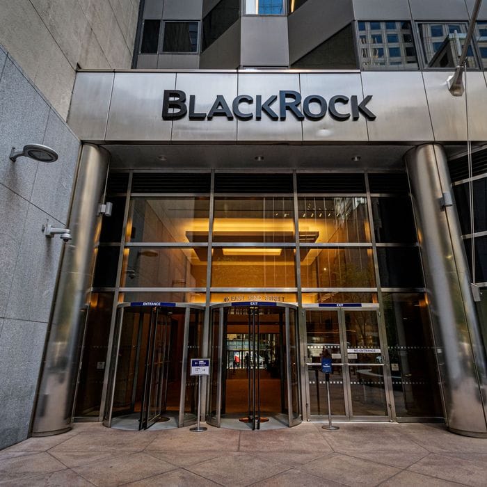 BLACKROCK – COMPANY THAT OWNS EVERYTHING